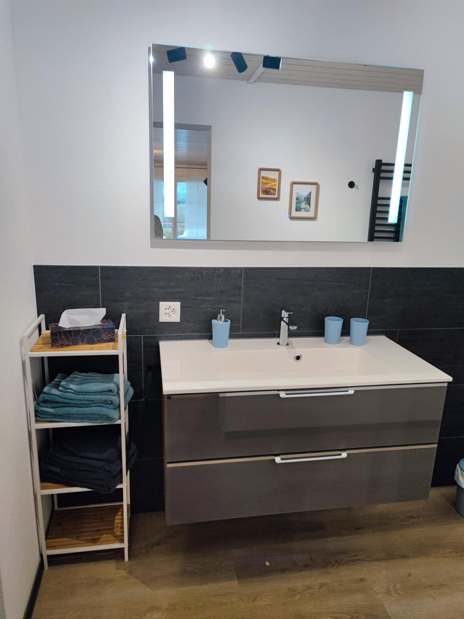 Kleine Auszeit - 2-Zimmer Ferienwohnung Spiez Dış mekan fotoğraf